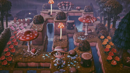 mushroom falls